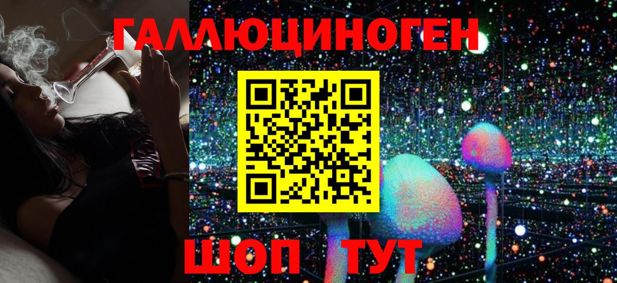 Псилоцибиновые грибы мицелий Кинель