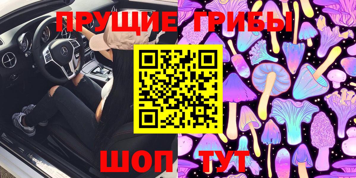 Кинель  Галлюциногенные грибы Psilocybine cubensis  Вход с VPN 